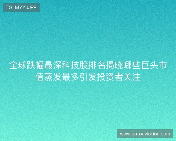 全球跌幅最深科技股排名揭晓哪些巨头市值蒸发最多引发投资者关注
